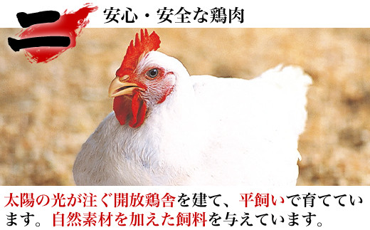 提供する為の基本である「健康な鶏」を育てています。
陽光降り注ぐ鶏舎で大切に育てられ肉の臭みが少なく旨味が引き出されています。