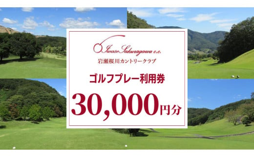 岩瀬桜川カントリークラブ ゴルフプレー利用券30,000円分 茨城県 桜川市 桜川 ゴルフ ゴルフ場 プレー 利用券 チケット 補助券 プレー券 [CW004sa] 655755 - 茨城県桜川市