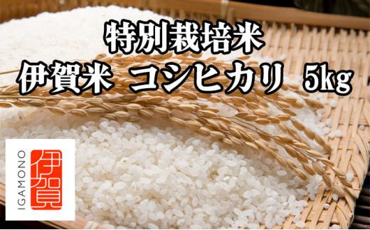 特別栽培米・伊賀米コシヒカリ 5kg