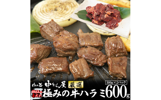 極みの牛ハラミ秘伝の赤だれ600g(300g×2パック) <肉の匠 中むら屋厳選> 【1483】 655708 - 岩手県花巻市