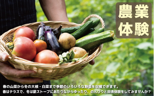 農業体験 269173 - 茨城県笠間市