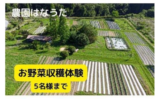 農園はなうた お野菜収穫体験券 5名様まで 647808 - 三重県伊賀市