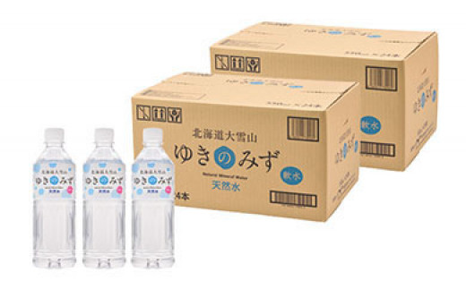 北海道大雪山ゆきのみず（550ml×24本入り） 2箱 - 北海道上川町