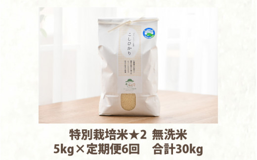 令和5年産】《定期便6回》特別栽培米 コシヒカリ 5kg × 6回 （計30kg