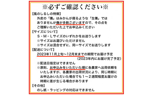 有田みかん「風のしるし」（10kg）(A241-1)