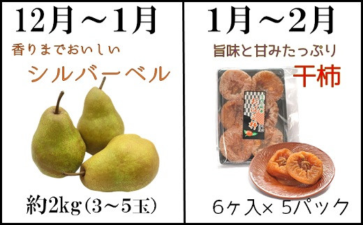 食の都庄内　第２弾！【フルーツ定期便10回】2023年6月～2024年3月お届け 旬のフルーツ定期便