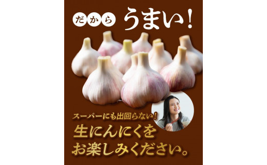 先行予約】2L玉 1kg 農家厳選！南国の赤土で育んだ 沖永良部島産 生