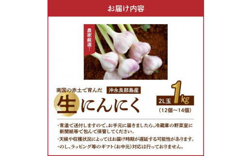 ブルー×レッド 【国産】 沖永良部島産 生にんにく 在来種 ２キロ【送料