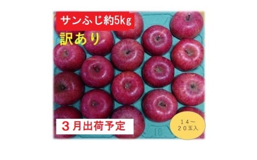 りんご 【 3月発送 】 訳あり 家庭用 百年木の香 三上農園 サンふじ 約 5kg 【 弘前市産 青森りんご 】 686063 - 青森県弘前市