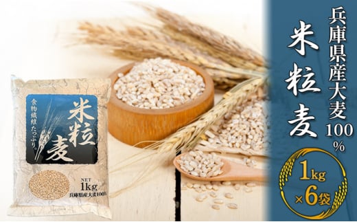 兵庫県産大麦100％ 米粒麦 1kg×6袋 1274403 - 兵庫県稲美町