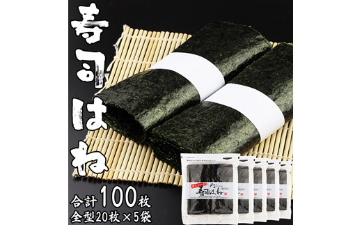 訳あり　訳アリ　ご家庭用　キズのり　全形20枚×5パック【01054】