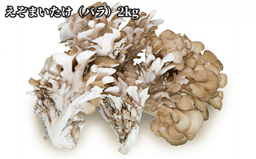 ★がんばれ北海道★えぞまいたけ(バラ)2kg