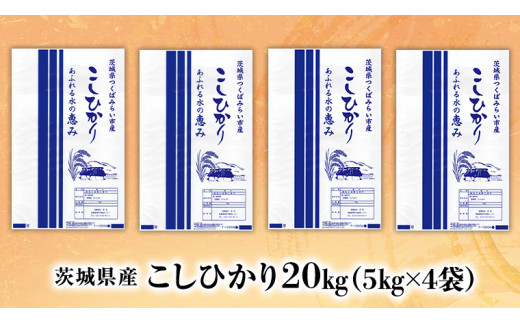 受付終了】【各月数量限定】《令和４年産》 茨城県産 コシヒカリ 精米