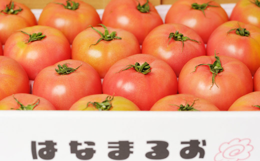 熊本県産 トマト はなまるお 4kg