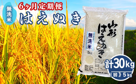 【 6ヶ月定期便 】 無洗米 はえぬき 5kg × 6回 （ 計 30kg ） 全6回 配送 農家直送 [005-030A]