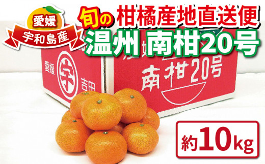 愛媛県産　南柑20号　みかん　柑橘　　15kg