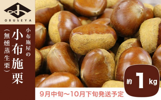 小布施栗（無燻蒸生栗） 約1kg ［小布施屋］ 2023年9月中旬～10月下旬