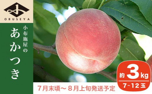 あかつき 約3kg 7～12玉 ［小布施屋］2023年7月末頃～8月上旬発送 桃