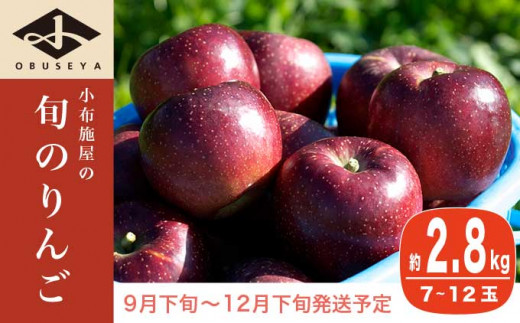 長野県産 季節の旬のりんご 約2.8kg 7～12玉［小布施屋］ 2023年9月