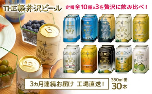 THE軽井沢ビール　10種30缶　飲み比べ　ギフトセット 3カ月定期便 クラフトビール 地ビール