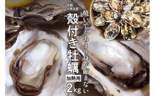 京都・久美浜産　殻付き牡蠣　2kg（20個前後）【加熱用】　牡蠣ナイフ付