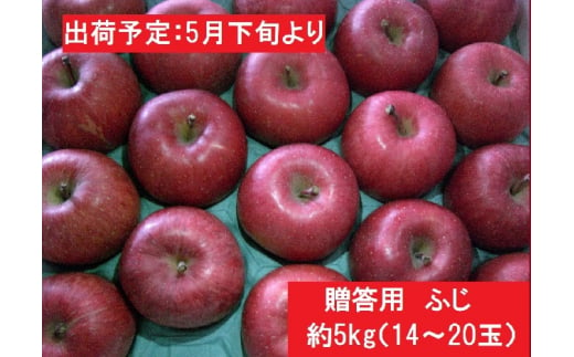 贈答用ふじ 約5kg（14～20玉）