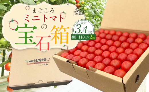 まごころミニトマトの宝石箱 1.7kg(約80～110玉)×2箱 計3.4kg サンチェリーピュア トマト