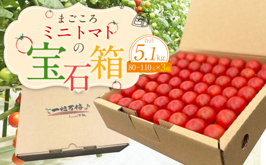 まごころ ミニトマト の宝石箱 1.7kg(約80～110玉)×3箱 計5.1kg サンチェリーピュア トマト