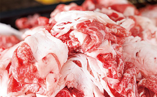 佐賀牛 切り落とし 和牛 牛肉 1kg ( 500g×2P ) | 佐賀牛 切り落とし 和牛 牛肉 1kg ※画像はイメージです