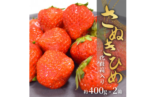 さぬきひめいちご化粧箱 2箱(各約400g)【2024年1月上旬～2024年4月下旬