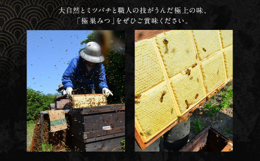 極 巣みつ 310g 国産 純粋蜂蜜 巣蜜 コムハニー 蜂の巣 ハチミツ