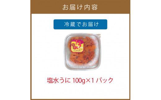 予約：2024年4月中旬から順次発送】サロマ湖産 塩水うに 100g ( ウニ