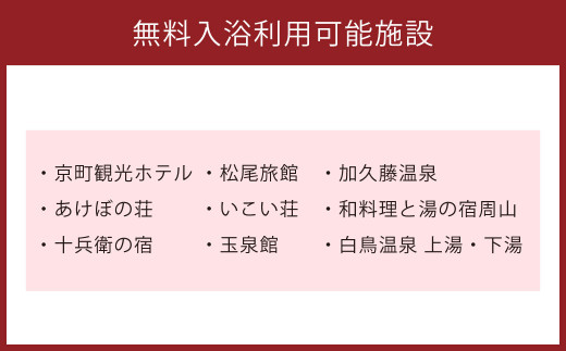 えびの市マスコットキャラクター「みなほ」パペット・ノカイドウの蕾 3箱・温泉入浴券セット