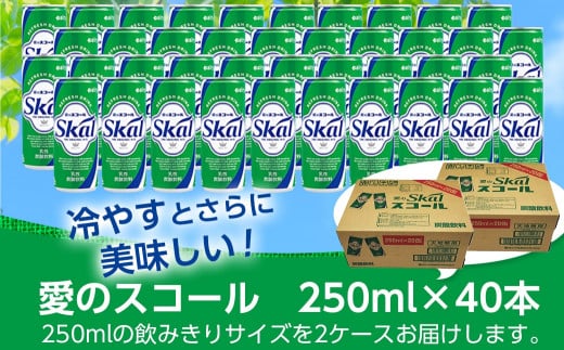 『愛』を込めて・・・愛のスコール250ml×40本(2ケース)_12-2301_(都城市) 炭酸飲料 スコール 250ml 20本 2ケース