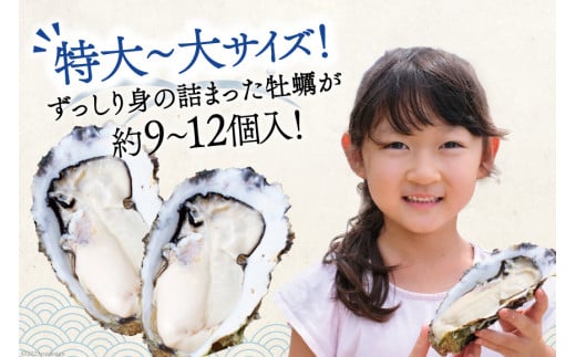 TVで紹介！】 牡蠣 大粒 3～4年モノ 生食 殻付き牡蠣 約3kg(約9-12個入