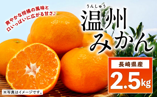 【2023年11月下旬順次発送】 温州みかん 2.5kg みかん 長崎県産 【20pt】(ポイントのみ) 659099 - 長崎県大村市