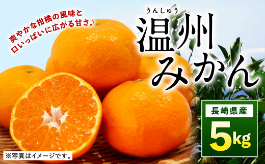 【2023年11月下旬順次発送】 温州みかん 5kg みかん 長崎県産 【40pt】(お礼の品をもらう) 659102 - 長崎県大村市