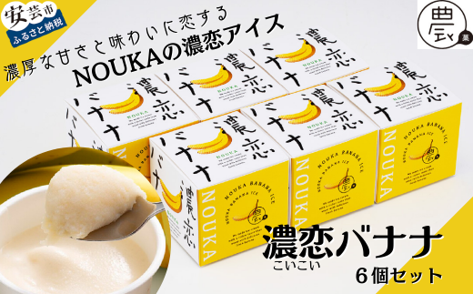 30-05 高知県産・高糖度完熟バナナアイス NOUKAの濃恋バナナ 6個セット 665162 - 高知県安芸市