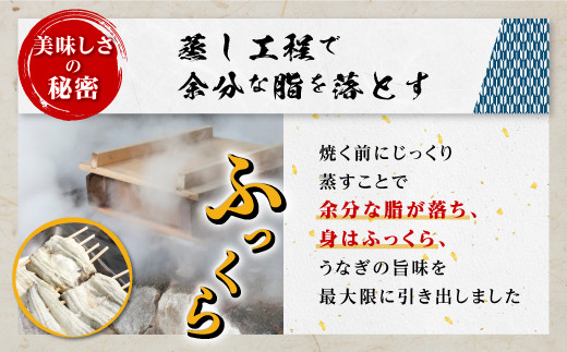 《関東風蒸し焼き》ふっくらやわらか鹿児島県産うなぎ蒲焼3尾セット（450g）