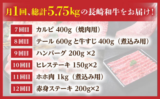 農場直営】【12回定期便】A4長崎和牛 ちょこちょこ定期便（約2～3人前