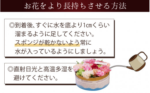 着日5/7～10 Mothers day フラワーケーキS