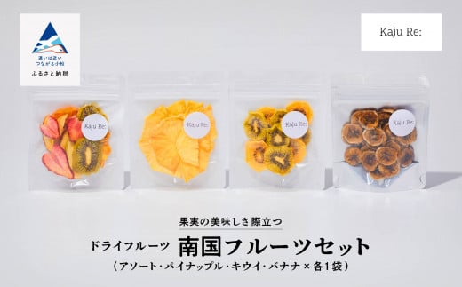 ドライフルーツ フルーツKaju Re:南国フルーツセット りんご パイナップル キウイ みかん 苺 バナナ