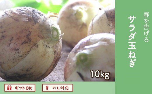 020-08 春を告げるサラダ玉ねぎ10kg 660188 - 鹿児島県南九州市