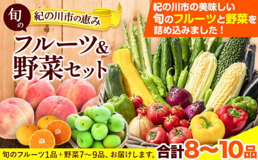 紀の川市の恵み 旬のフルーツ＆野菜セット 計8～10品《30日以内に出荷予定(土日祝除く)》和歌山県 紀の川市 フルーツ 果物 野菜 セット 桃 梅 みかん 新玉ねぎ なす トマト キャベツ