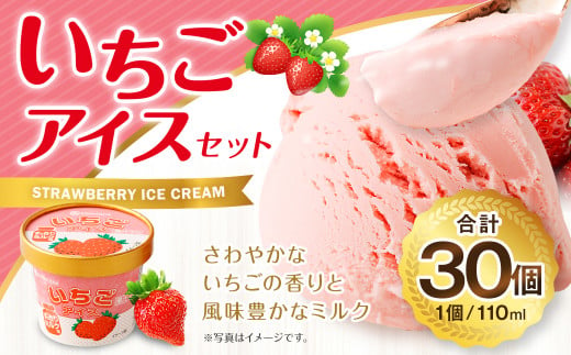 いちごアイス 110ml×30個セット いちご 苺 アイスクリーム スイーツ 990029 - 熊本県菊池市