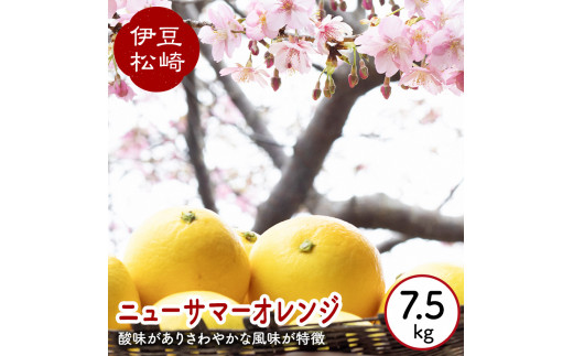婆娑羅農産 ニューサマーオレンジ 7.5kg 384882 - 静岡県松崎町
