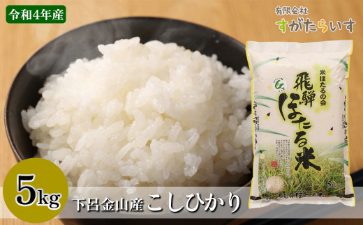 【令和4年産米】こしひかり 5kg すがたらいす 下呂市金山産 2022年産 お米 精米 660191 - 岐阜県下呂市