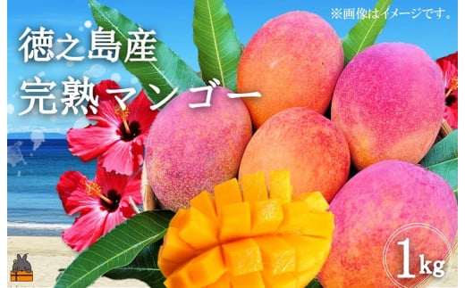 徳之島産完熟マンゴーは甘さが濃厚で美味しいと評判ですよ。※1kgは2玉～3玉となります。