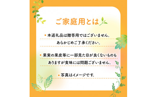 ご家庭用 ゆら早生 みかん 約10kg【2024年9月下旬～2024年11月上旬配送