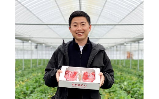 福岡県産あまおう(冷凍2kg)  特別栽培 冷凍イチゴ 冷凍いちご